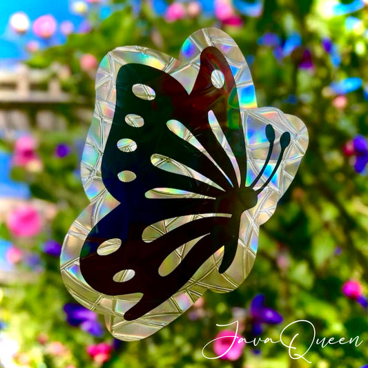 Butterfly 🦋